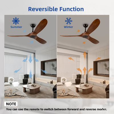 3 Blades Modern LED Ceiling Fans 60 Inch Outdoor Indoor Ceiling Fan Without Light