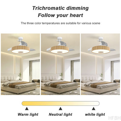 European Style BLDC Ceiling Fan 42 Inch Retractable Ceiling Fan With Light And Remote