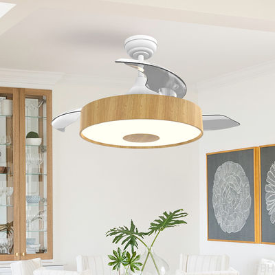 European Style BLDC Ceiling Fan 42 Inch Retractable Ceiling Fan With Light And Remote