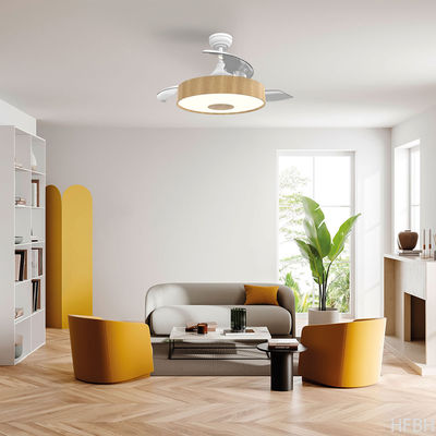 European Style BLDC Ceiling Fan 42 Inch Retractable Ceiling Fan With Light And Remote