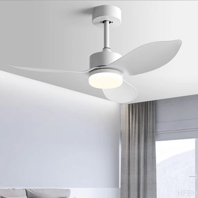 Retro Nordic Ceiling Fan 38 Inch Variable Frequency Fan Pendant Light