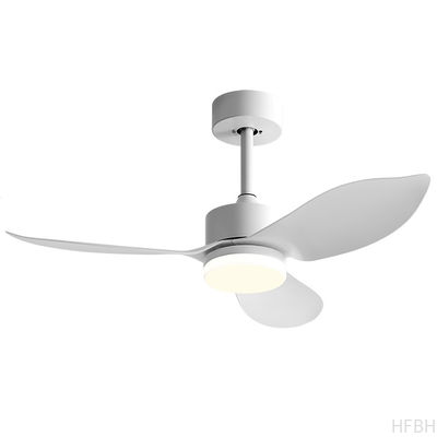 Factory Direct Low Noise Pure Copper Motor 3 Blades Brushless DC Remote Control Modern Ceiling Fan Lights