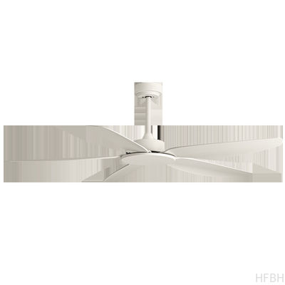 Newest Design 49/58 Inch Model 679 Modern Ceiling Fan 150cm Diameter