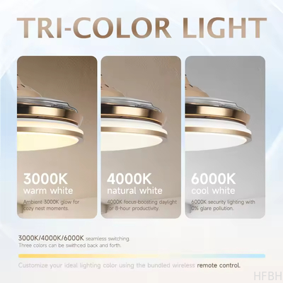 42''Indoor Modern Retractable Pendant Fans Lamp Iron ABS Body LED Chandelier Ceiling Fan with Lights and Remote for Home Bedroom