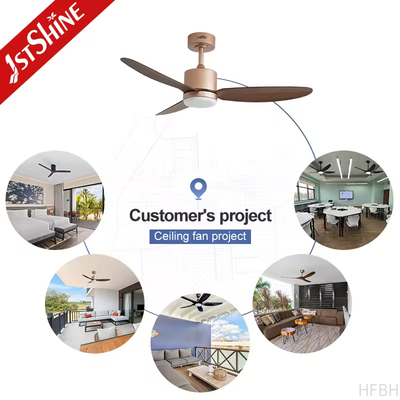 Led Ceiling Fan Simple Rose Gold Design Fancy Plastic Ceiling Fan with Remote Control