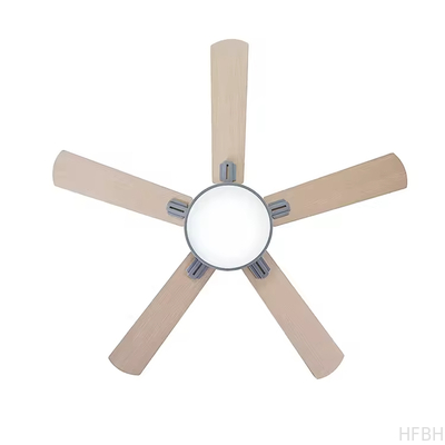 Contemporary Home Decorative Lighting LED Fan Ceiling Fan with Light & Remote Control