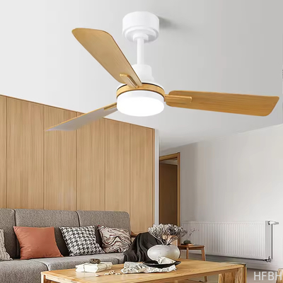 Factory Direct Ceiling Fans with Lights and Remote Dimmable 3CCT Reversible BLDC Motor ABS Blades for Bedroom Living Room