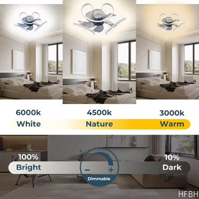 Modern simple luxury ceiling fan light for living room bedroom silent fan light with remote