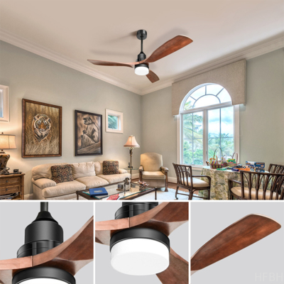 Single Decoration Lighted Fan Fixture with Remote Control Functionality