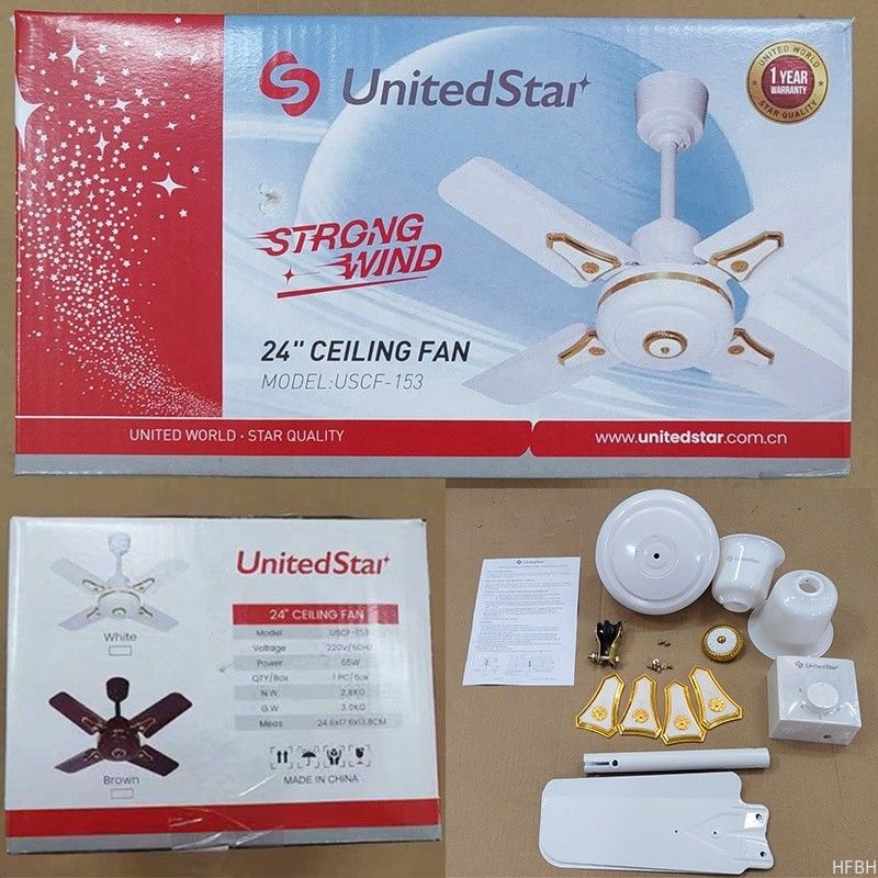 White 24 Inch 4 Blade Ceiling Fan With Light , Electric Ceiling Fan With Remote