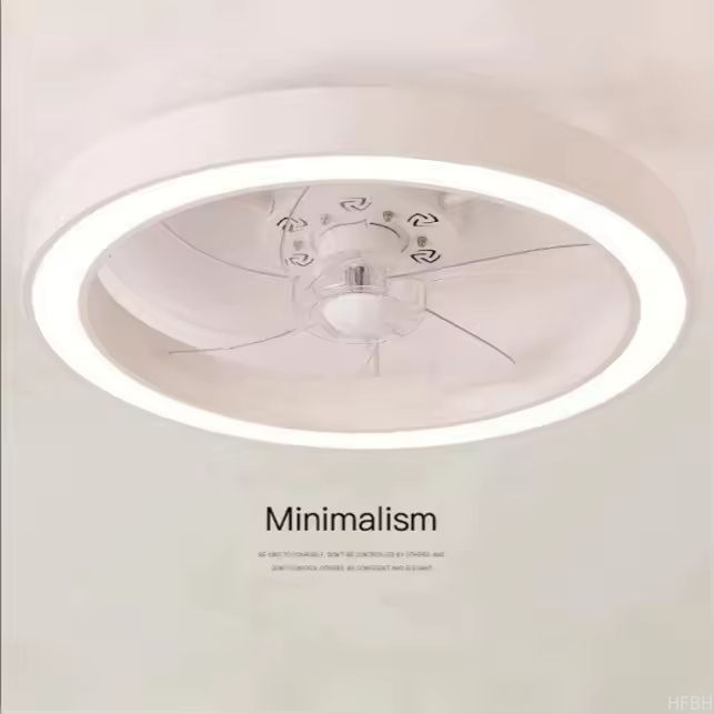 20 Inch Fan Light Deluxe Black and White Model Simple Dimmable 5 Blade Ceiling Fan Light with Light and Remote Control