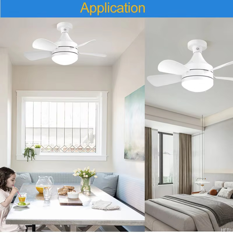 Create a Comfortable Environment with Our Modern Lighted Ceiling Fan