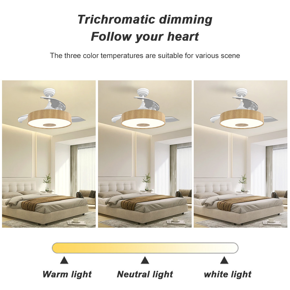European Style BLDC Ceiling Fan 42 Inch Retractable Ceiling Fan With Light And Remote
