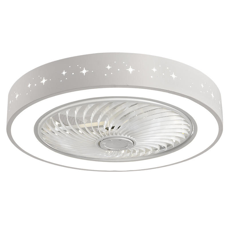 Modern LED Ceiling Fan with Light 3 Speeds and 3 Color Timings Dimmable AC Motor Remote Control for Living Room Use