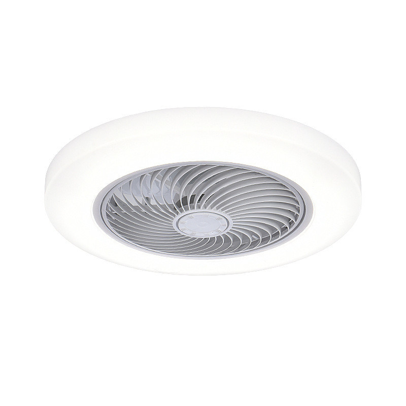 Modern LED Ceiling Fan with Light 3 Speeds and 3 Color Timings Dimmable AC Motor Remote Control for Living Room Use
