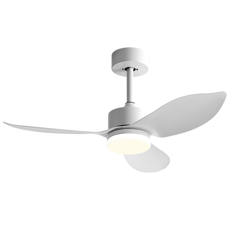 Factory Direct Low Noise Pure Copper Motor 3 Blades Brushless DC Remote Control Modern Ceiling Fan Lights