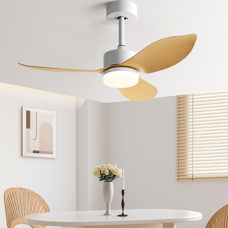 Factory Direct Low Noise Pure Copper Motor 3 Blades Brushless DC Remote Control Modern Ceiling Fan Lights