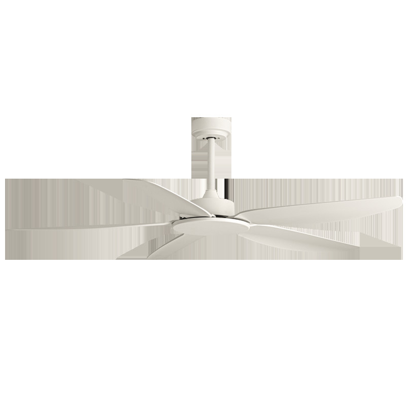 Newest Design 49/58 Inch Model 679 Modern Ceiling Fan 150cm Diameter