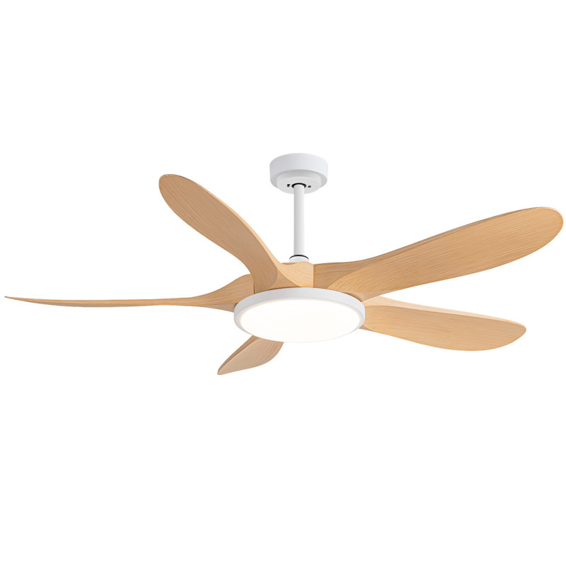 Newest Design 49/58 Inch Model 679 Modern Ceiling Fan 150cm Diameter