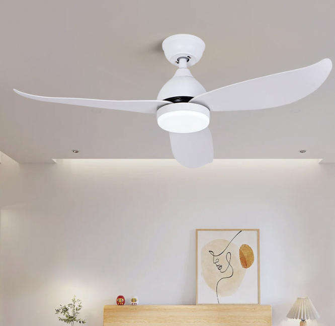 Ceiling Fan Lights in 42