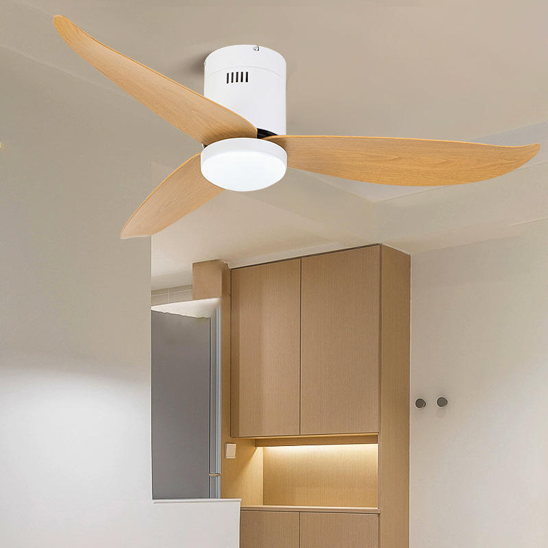 Ceiling Fan Lights in 42