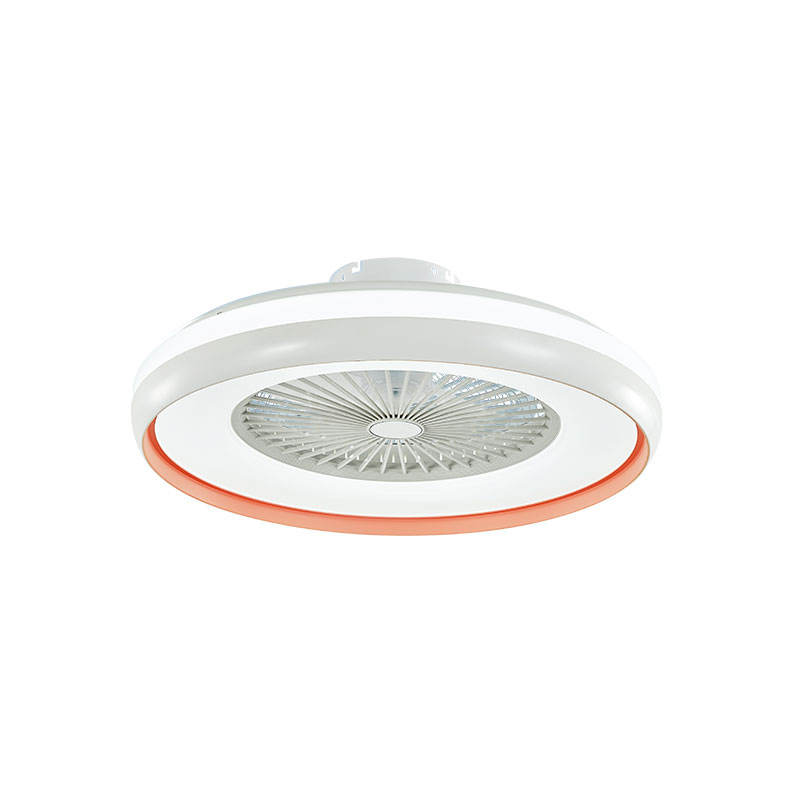 Led Ceiling Fan 2022 New Trending Smart Remote Control 23 Inch Bedroom Ceiling Fan Light