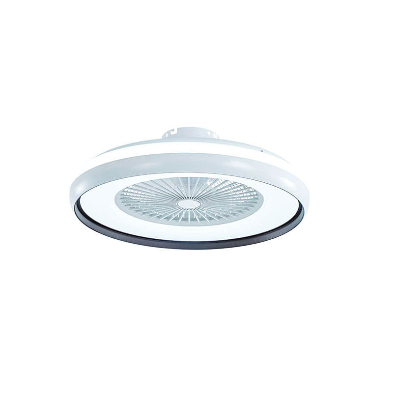 Led Ceiling Fan 2022 New Trending Smart Remote Control 23 Inch Bedroom Ceiling Fan Light