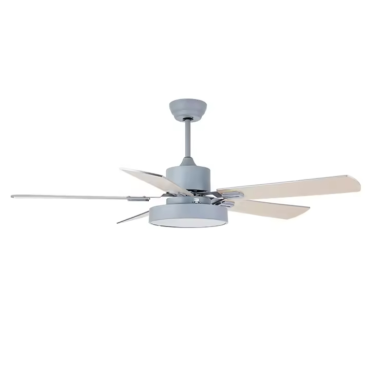 Contemporary Home Decorative Lighting LED Fan Ceiling Fan with Light & Remote Control