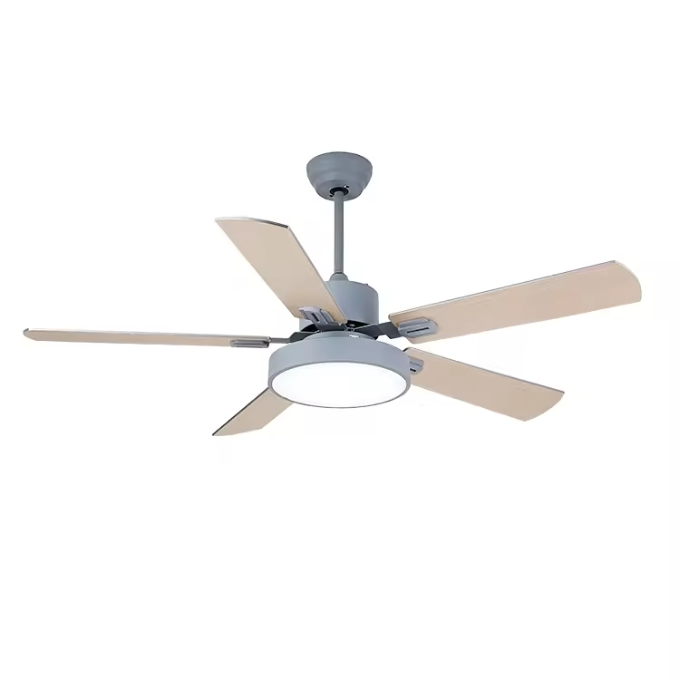Contemporary Home Decorative Lighting LED Fan Ceiling Fan with Light & Remote Control