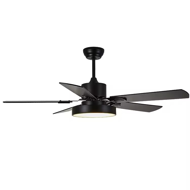 Contemporary Home Decorative Lighting LED Fan Ceiling Fan with Light & Remote Control