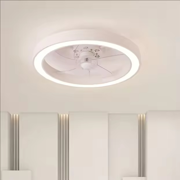 20 Inch Fan Light Deluxe Black and White Model Simple Dimmable 5 Blade Ceiling Fan Light with Light and Remote Control