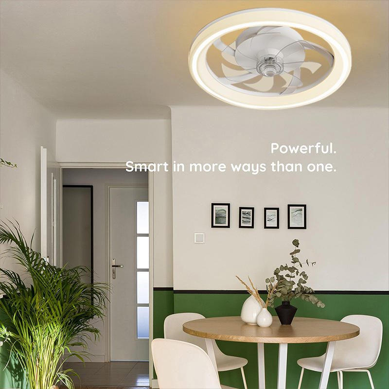 16.5 Inch Modern LED Ceiling Fan Light with Remote Control Chandelier Style DC Motor for Living Room Bedroom Home Decoration
